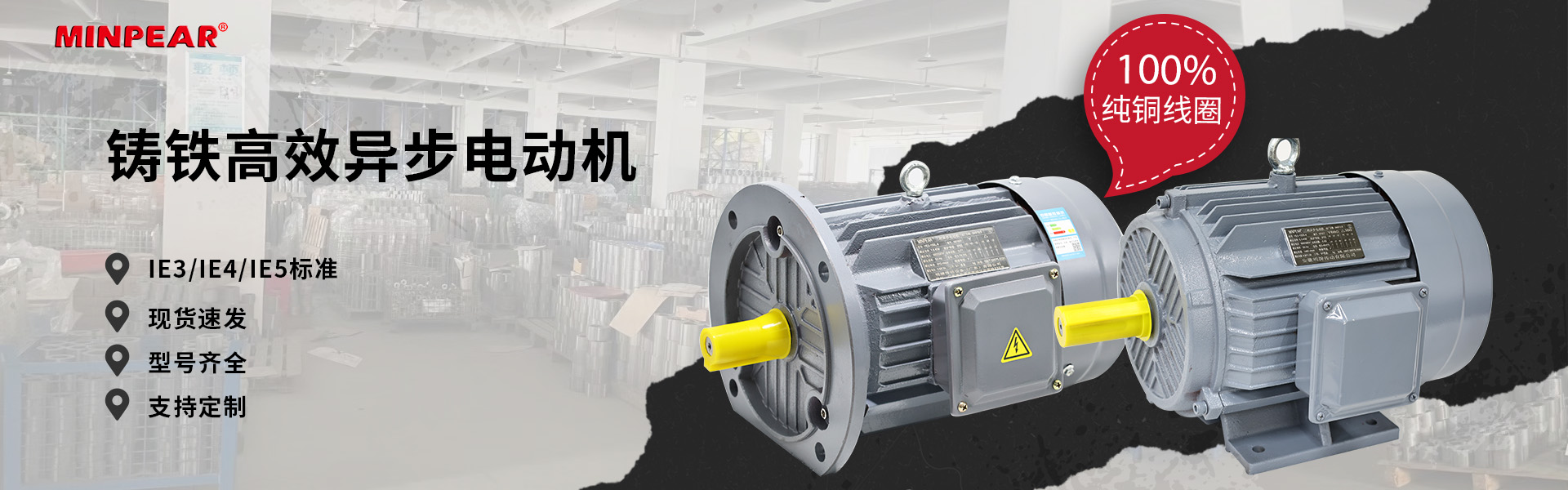 臺(tái)灣TWT東煒庭電機(jī)系列